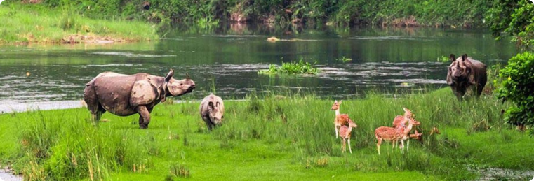 glimpse of nepal